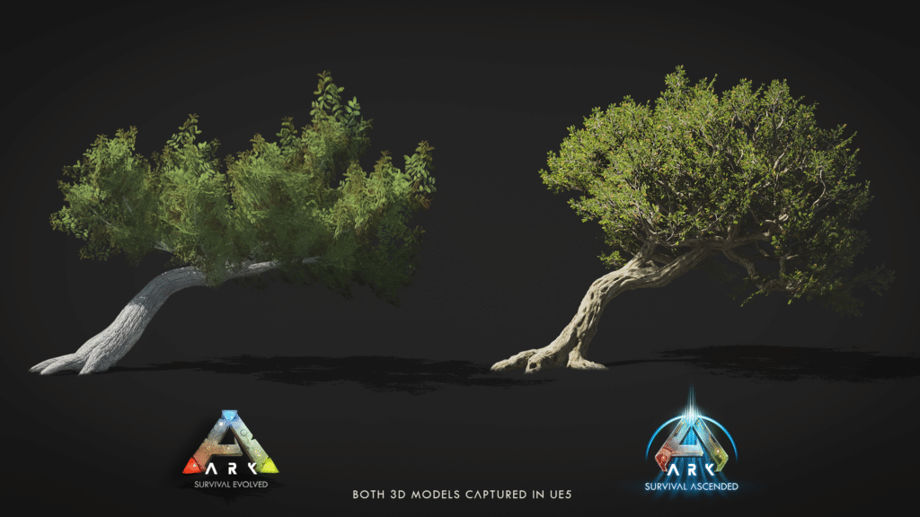 ARK: Survival Ascended Divi Tree Comparison